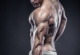 Beste triceps oefeningen